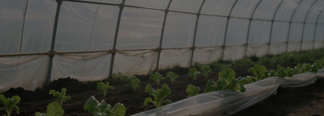 Produits chimiques à usage quotidien